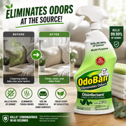 OdoBan Disinfectant Fabric & Air Freshener – Original Eucalyptus, 32 fl oz