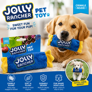 Jolly Rancher Crinkle Plush Dog Toy – Candy-Shaped Pet Chew & Play Toy
