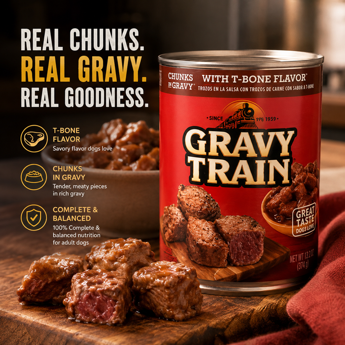 Gravy Train T-Bone Flavor Chunks in Gravy Wet Dog Food – 13.2 oz