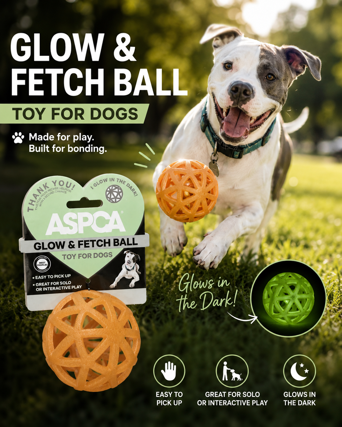 ASPCA Glow & Fetch Ball Dog Toy – Glow-in-the-Dark Interactive Ball