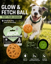 ASPCA Glow & Fetch Ball Dog Toy – Glow-in-the-Dark Interactive Ball